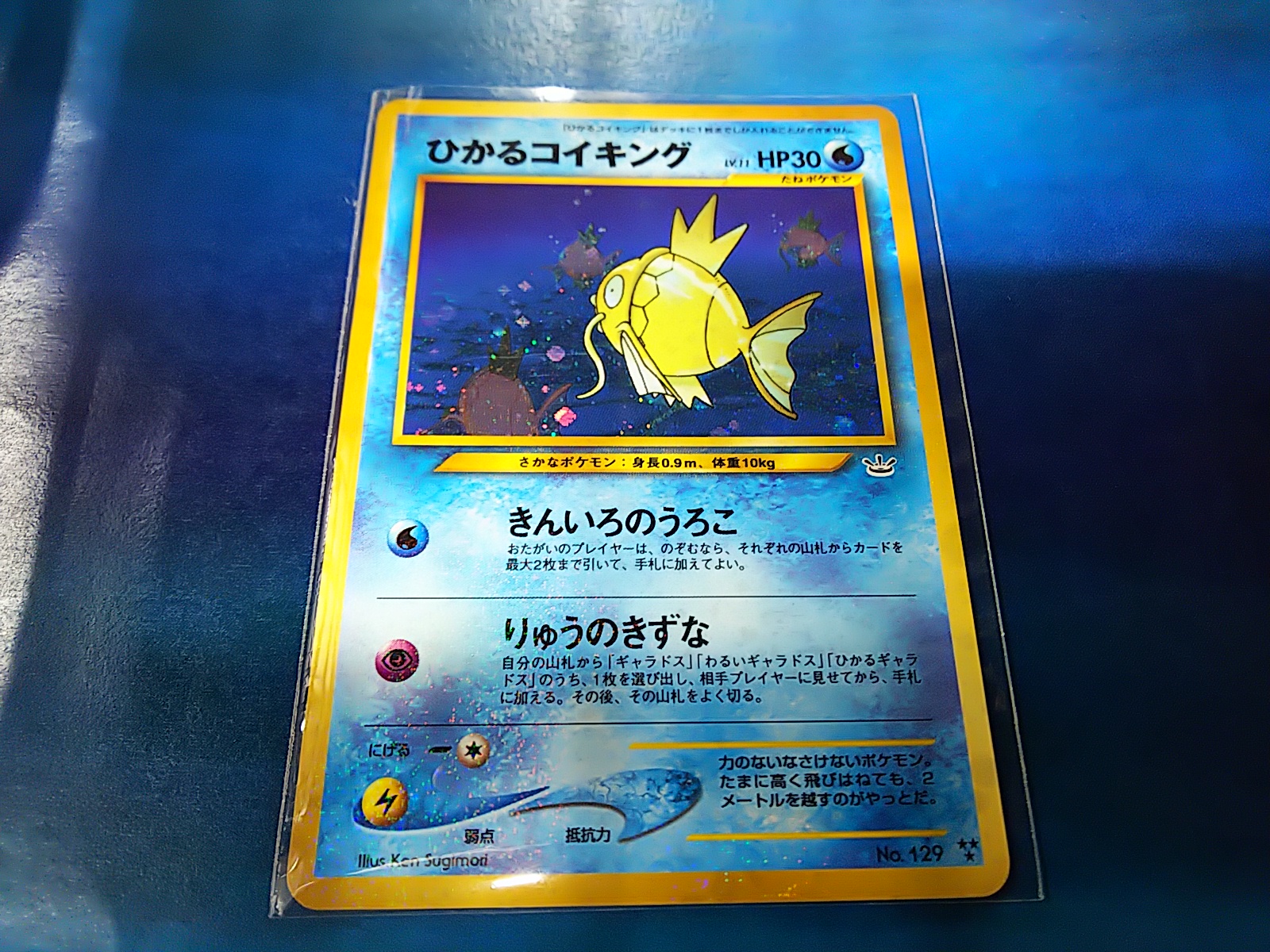 PSA10】ポケモンカード 25th ひかるコイキング ワンオーナー Yahoo